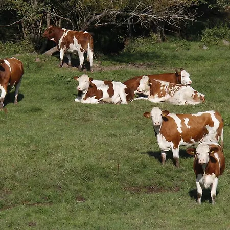 公寓 Harr 弗罗伊登施塔特