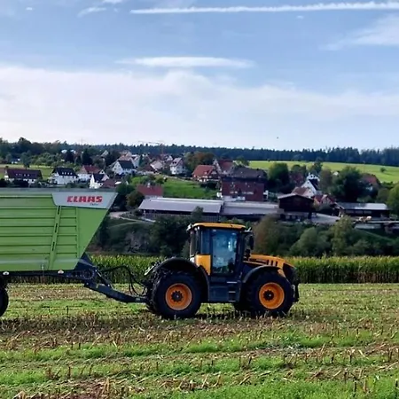 Harr Lägenhet Freudenstadt