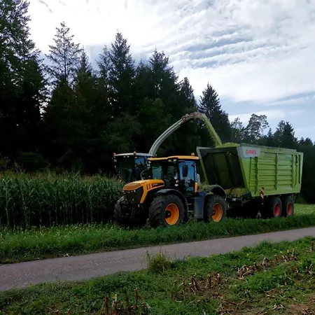 Harr * 弗罗伊登施塔特