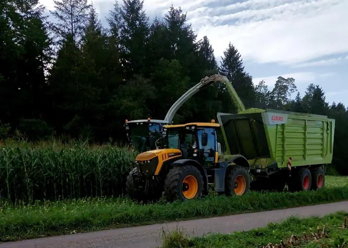 Harr * 弗罗伊登施塔特